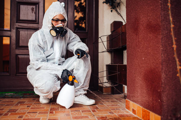 Attic and Crawl Space Rodent Treatment in Dover Beaches South